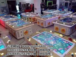 游戲廳電玩游戲機(jī)大全——探訪廣州市番禺區(qū)東環(huán)勇車動(dòng)漫產(chǎn)品開(kāi)發(fā)部