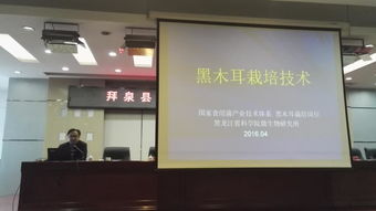 省農業院?？萍纪茝V服務聯盟專家赴拜泉縣指導食用菌生產 備春耕科技支農活動系列報道之二