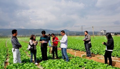 小農戶如何生存?這5種模式推薦給你