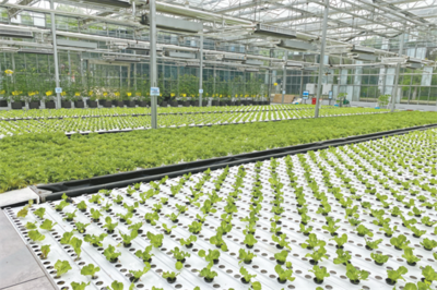 持續(xù)做強(qiáng)農(nóng)業(yè)&ldquo;芯片&rdquo; 2022年武漢種博會在黃陂開幕