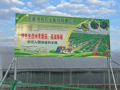 紅塔區(qū)政府信息公開