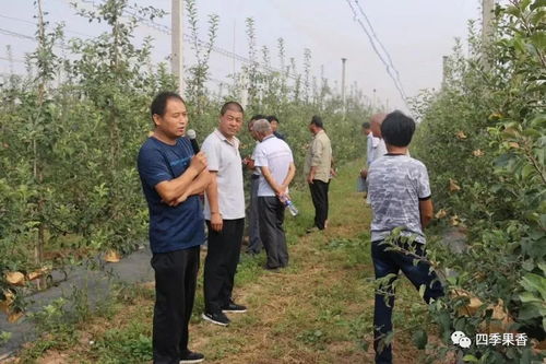 白水縣四季香農(nóng)業(yè)科技服務(wù)公司肥水一體化推廣及中農(nóng)液體肥示范園觀摩活動圓滿成功