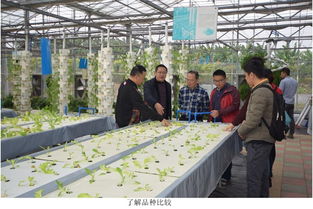 江門市農(nóng)業(yè)科技創(chuàng)新中心組團赴省農(nóng)業(yè)科學(xué)院 取經(jīng)
