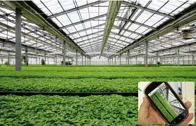 關(guān)于智慧農(nóng)業(yè),農(nóng)業(yè)部準(zhǔn)備這么干!(有補貼哦~)