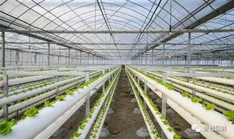 推進農產(chǎn)品產(chǎn)業(yè)化,把握好這三個階段是關鍵