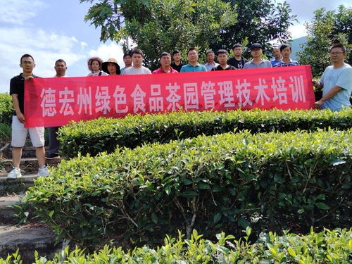 德宏州茶技站組織開展茶葉科技培訓