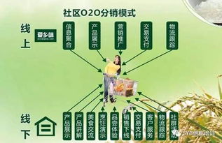 農(nóng)業(yè)電子商務(wù)發(fā)展對策