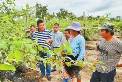 農民豐收節(jié)楊凌分會場這些做法成效獲點贊