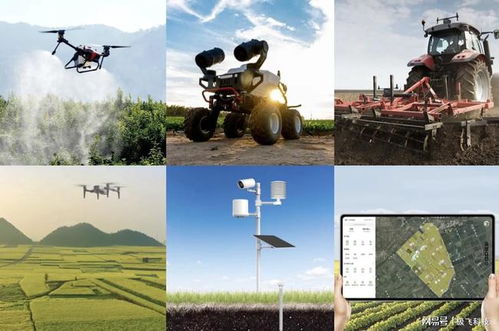 強(qiáng)國(guó)基石 農(nóng)業(yè)強(qiáng)國(guó)背后的科技力量