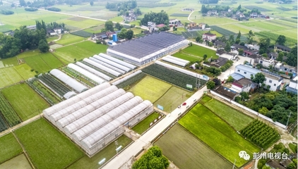 彭州農業又獲得國家級創建名單!