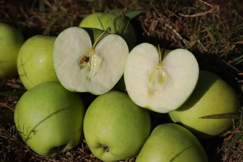 天冷了,周六這里會(huì) 很暖 ......