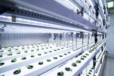 拼多多Q3財報發布 陳磊強調重倉“新質供給”與“電商西進”生態建設，深化農業科技服務