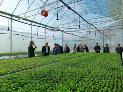 東川區(qū)現(xiàn)代農(nóng)業(yè)產(chǎn)業(yè)園建成投入運(yùn)行，賦能農(nóng)業(yè)科技服務(wù)新篇章