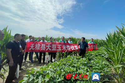 無棣縣科技特派員送“技”到田間，助力農(nóng)業(yè)科技服務(wù)升級(jí)