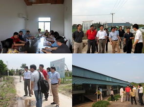 我院科研處與上海市農(nóng)業(yè)科技服務(wù)中心開展黨建雙結(jié)對活動，共促農(nóng)業(yè)科技服務(wù)發(fā)展